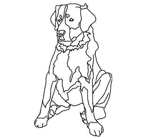 Desenho de Labrador para Colorir