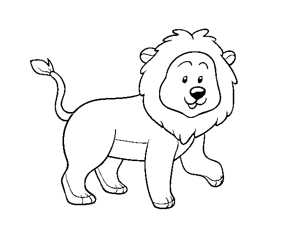 Desenho de Leão adulto para Colorir
