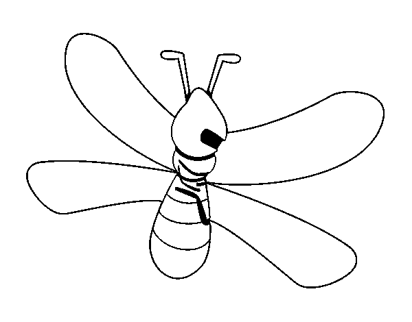 Desenho de Mosquito com grandes asas para Colorir