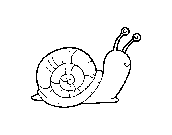 Desenho de O caracol para Colorir
