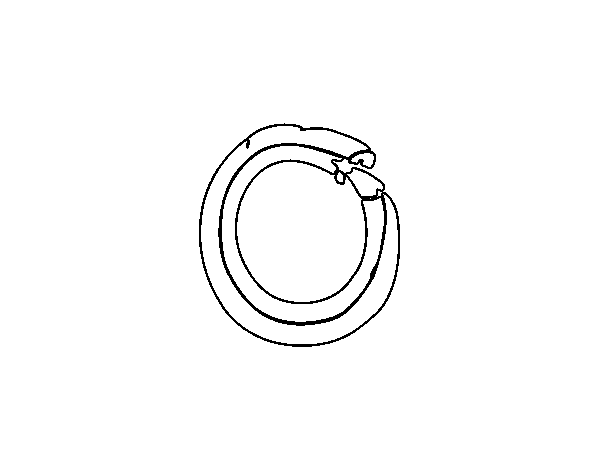 Desenho de O minúscula para Colorir