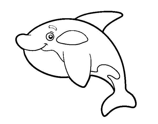 Desenho de Orca jovem para Colorir