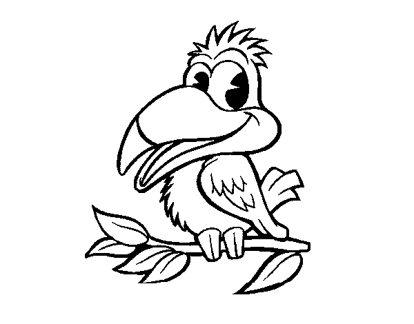 Desenho de Papagaio simpático para Colorir