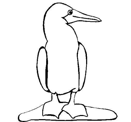 Desenhos para colorir de desenho de um pato para colorir online  