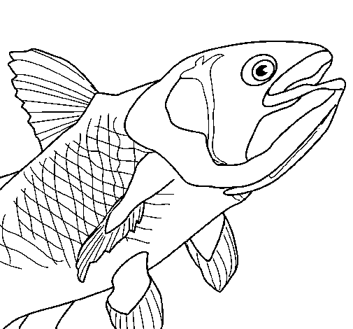 Desenho de Peixe 6 para Colorir
