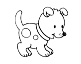 Desenho de Pequeno cachorro para colorear