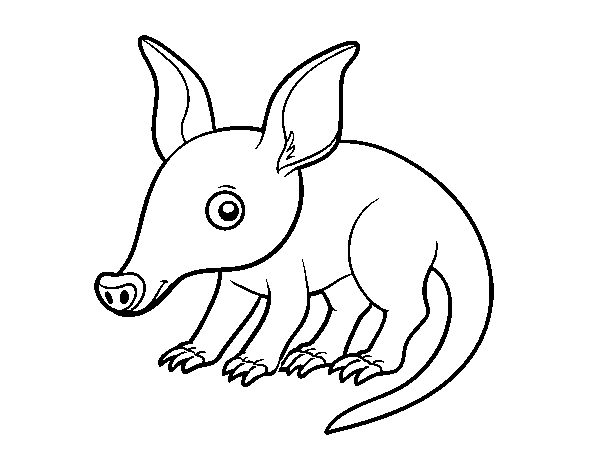 Desenho de Porco-formigueiro para Colorir