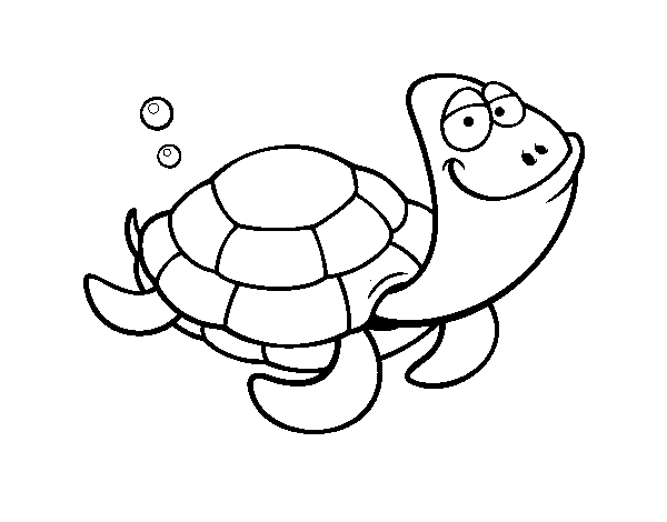 Desenho de Tartaruga cabeçuda para Colorir