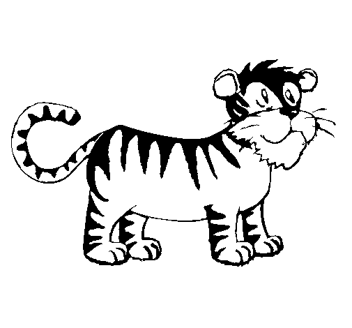 Desenho de Tigre para Colorir