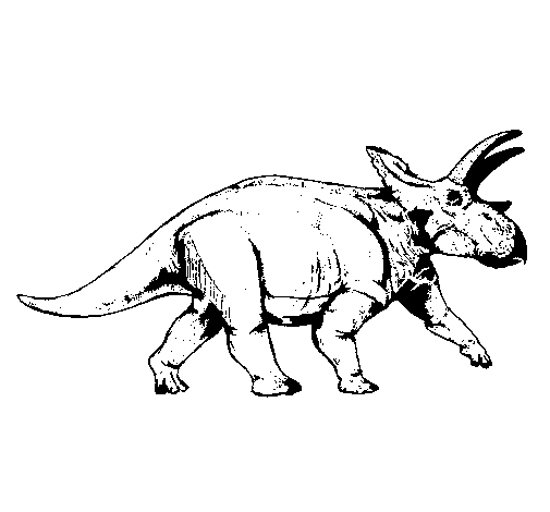 Desenho de Tricerátopo para Colorir