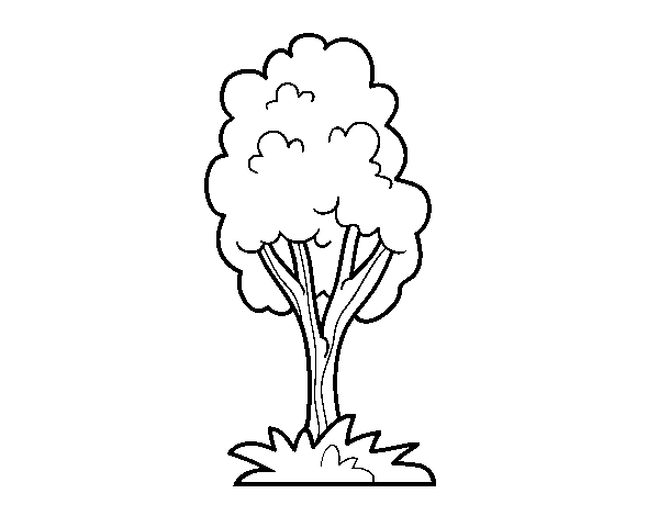 Desenho de Uma árvore de parque para Colorir