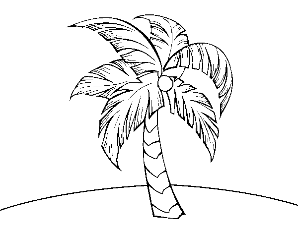 Desenho de Uma palmeira para Colorir