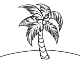Desenho de Uma palmeira para colorear