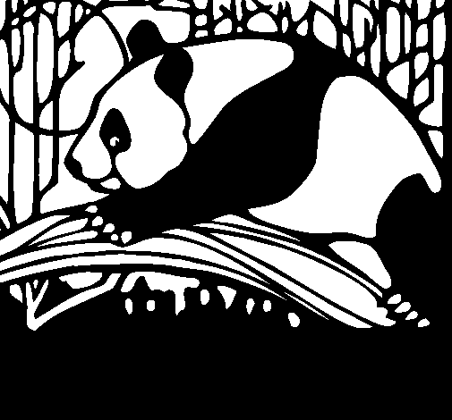 Desenho de Urso panda a comer para Colorir