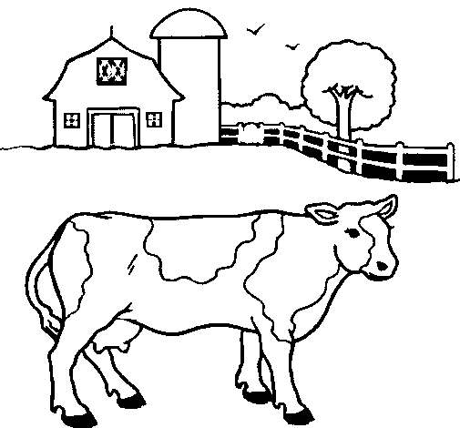Desenho de Vaca a pastar para Colorir