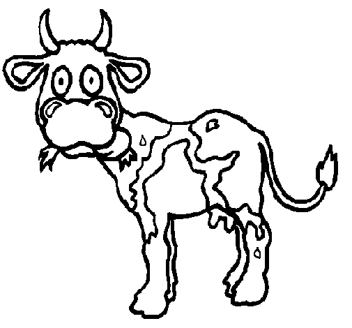 Desenho de Vaca para Colorir